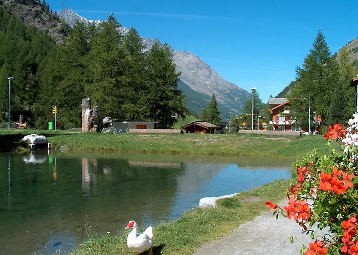 شاليه Alpenroesli *