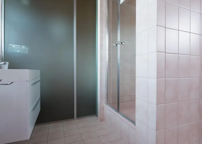 شاليه Alpenroesli ساس-الماغيل