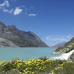 Alpenroesli